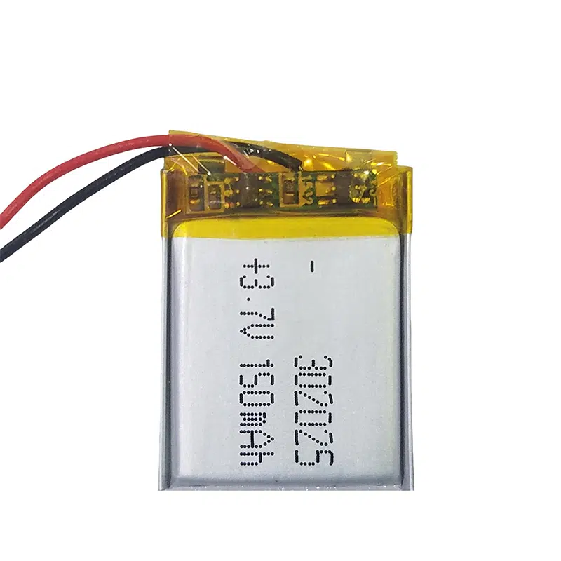 302025 Lithium Battery | LUNKE